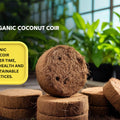 Organic Coconut Coir for Plants – Natural, Eco - Friendly Growing Medium for Healthy Plant Growth - Dreamzhub