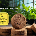Organic Coconut Coir for Plants – Natural, Eco - Friendly Growing Medium for Healthy Plant Growth - Dreamzhub