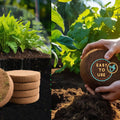 Organic Coconut Coir for Plants – Natural, Eco - Friendly Growing Medium for Healthy Plant Growth - Dreamzhub