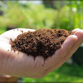 Organic Coconut Coir for Plants – Natural, Eco - Friendly Growing Medium for Healthy Plant Growth - Dreamzhub