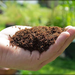 Organic Coconut Coir for Plants – Natural, Eco - Friendly Growing Medium for Healthy Plant Growth - Dreamzhub