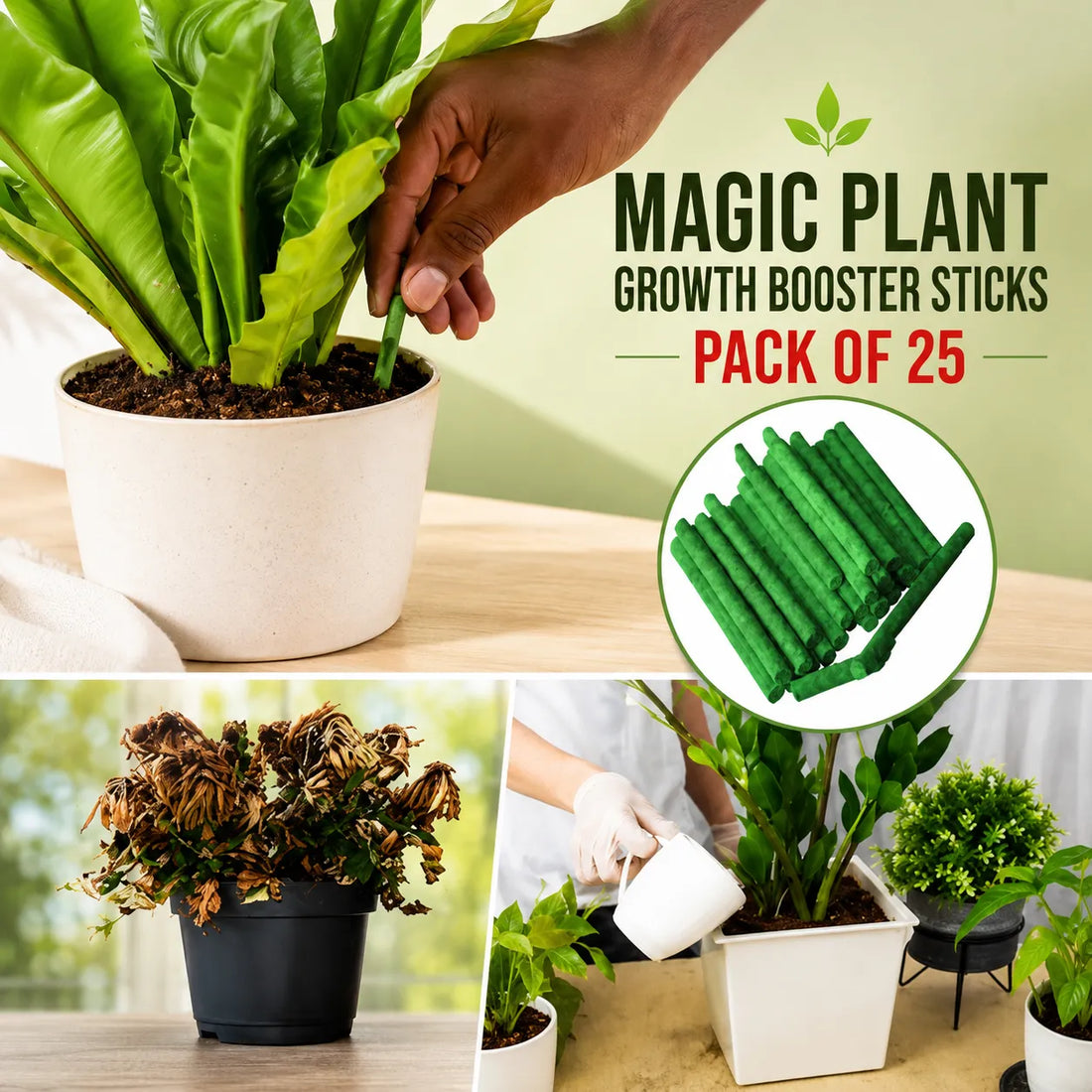 Plant Growth Booster Sticks Pack Of 25