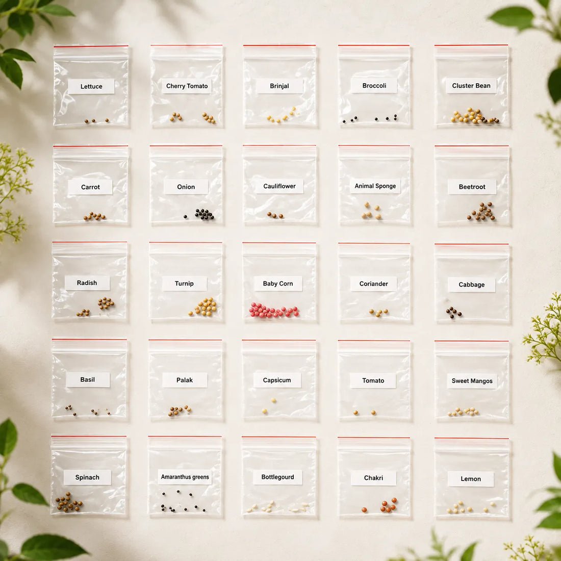 25-Variety Native Vegetable Seeds for Home Gardening