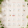 25-Variety Native Vegetable Seeds for Home Gardening