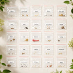 25-Variety Native Vegetable Seeds for Home Gardening