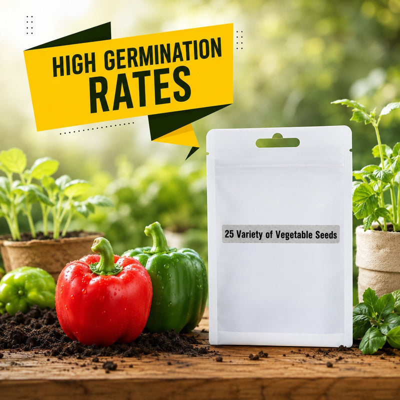Pack of 25 Native Vegetable Seeds For Home Garden