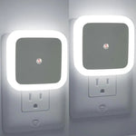 Smart Sensor Night Light Bulb – Auto On/Off | Energy - Saving LED Night Lamp for Home - Dreamzhub
