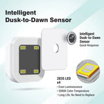 Smart Sensor Night Light Bulb – Auto On/Off | Energy - Saving LED Night Lamp for Home - Dreamzhub