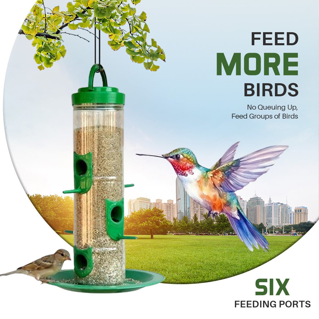 The Better Bird feeder - Dreamzhub